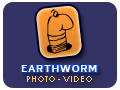 logo earthworm photo video
