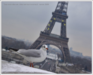 Tour Eiffel - etoile de l'europe