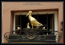 cigogne en or